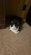 Rascal photo 2