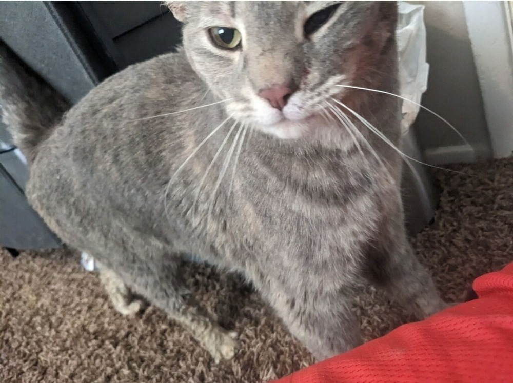Precious Nita