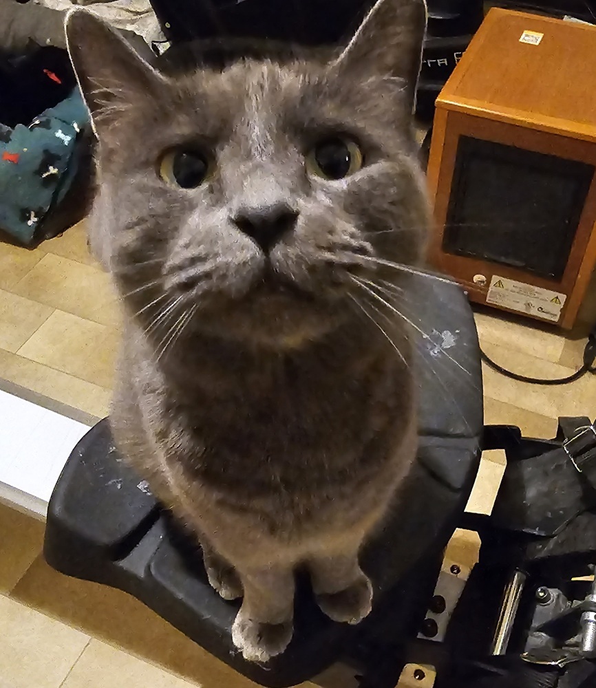 Athena