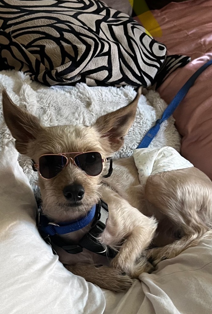Mr.T (Otis)