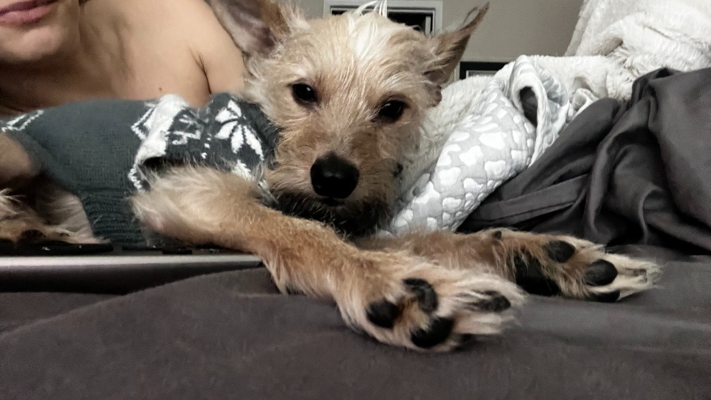 Mr.T (Otis)
