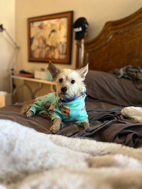 Mr.T (Otis)