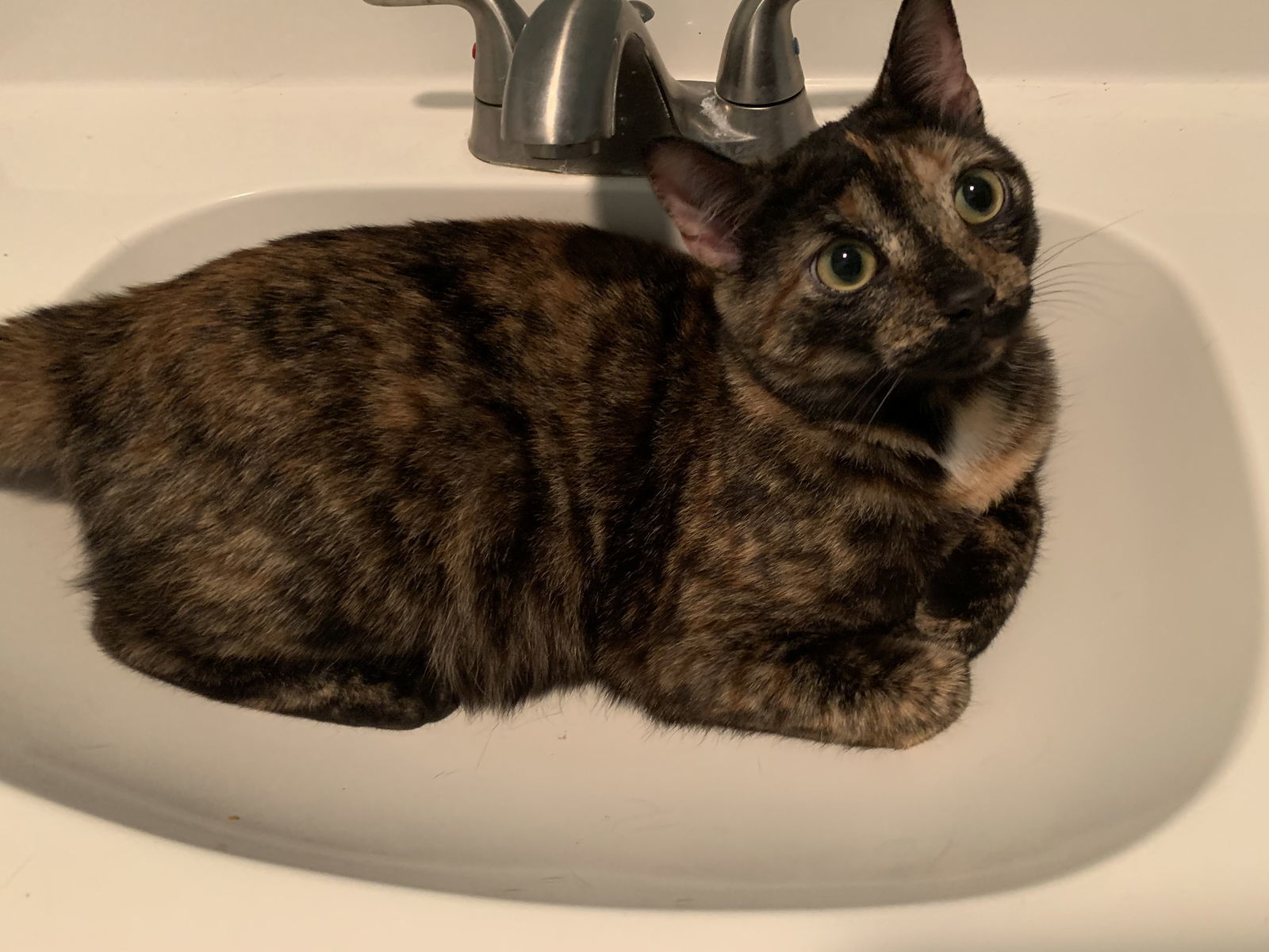 Henrietta