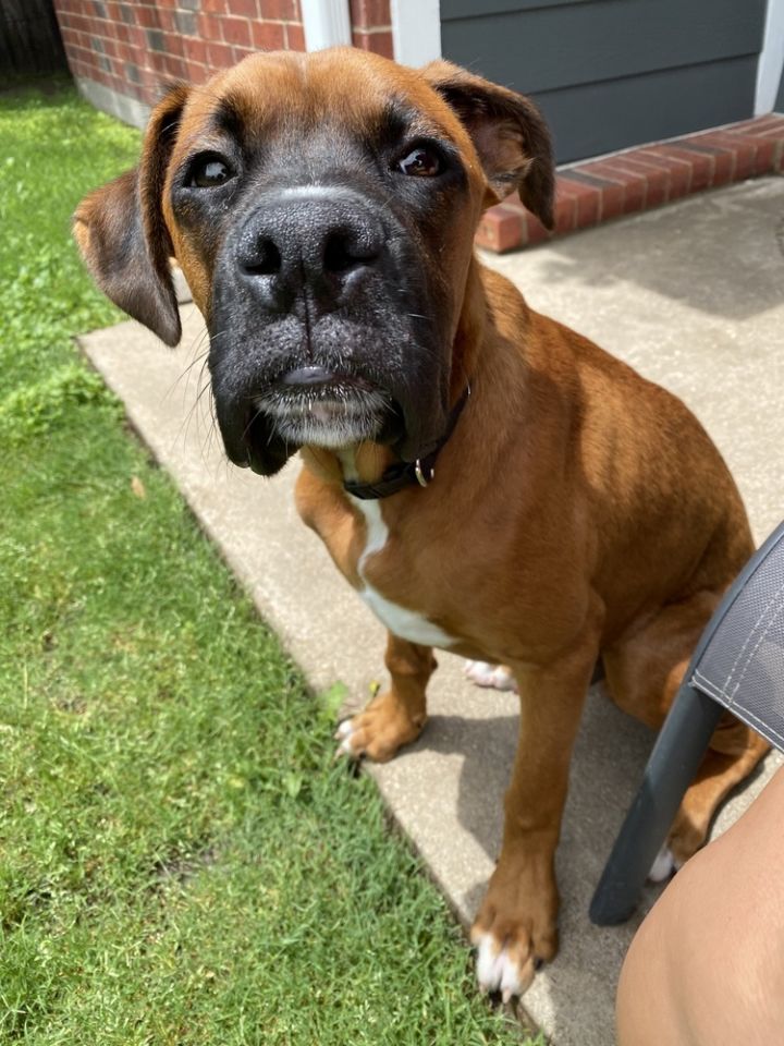 Duke 2