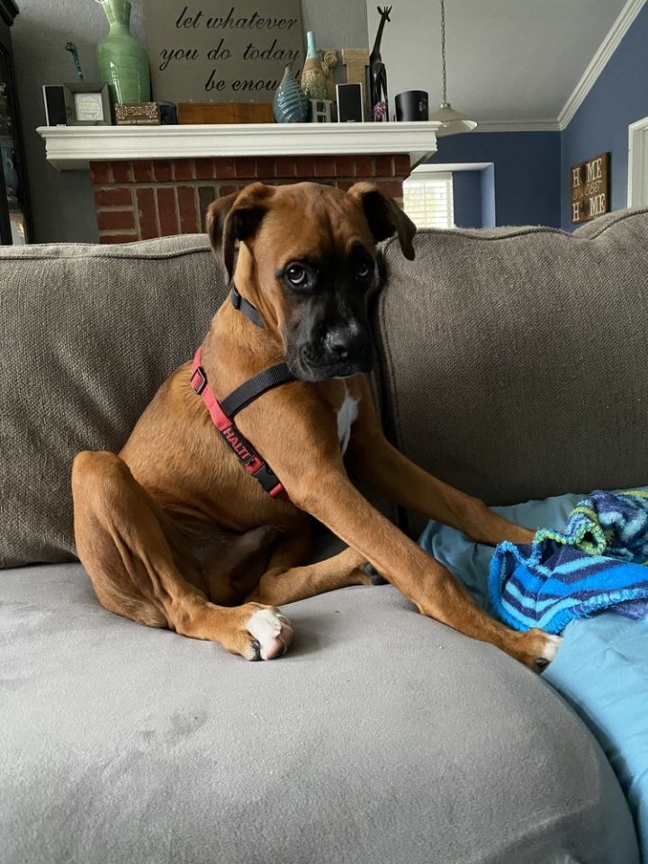 Duke 3