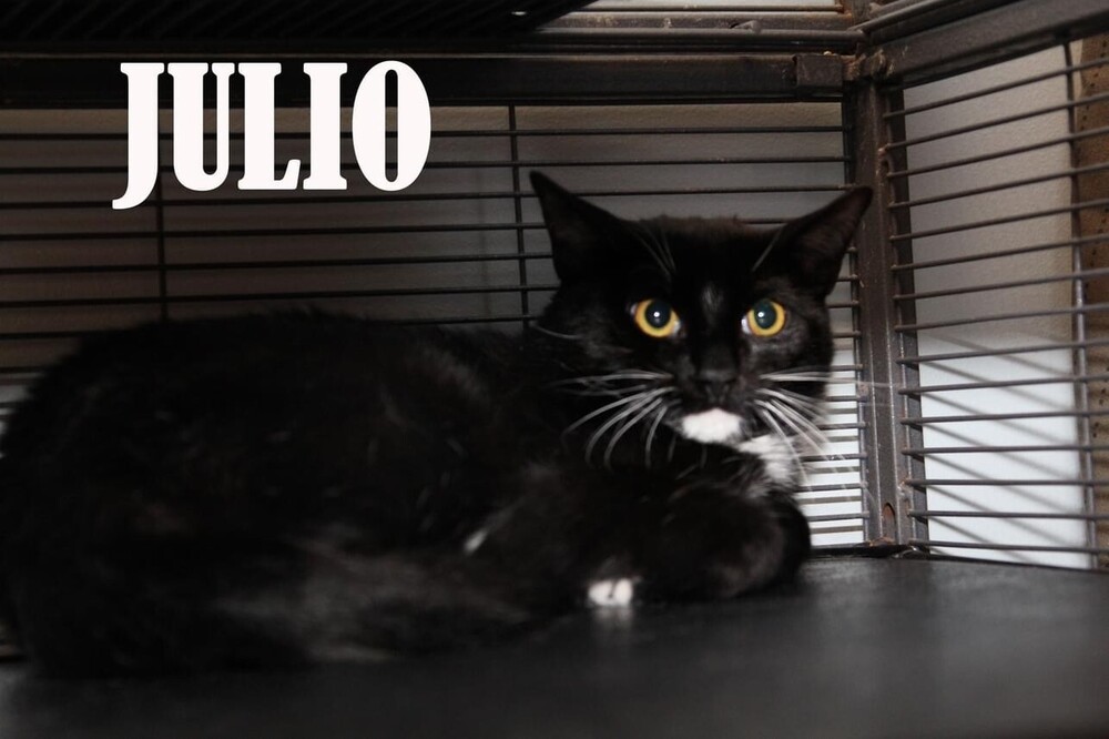Julio