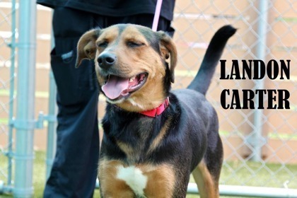 Landon Carter
