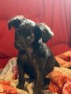 Jilly photo 2