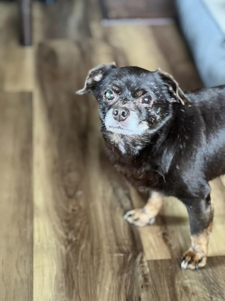 Tiny