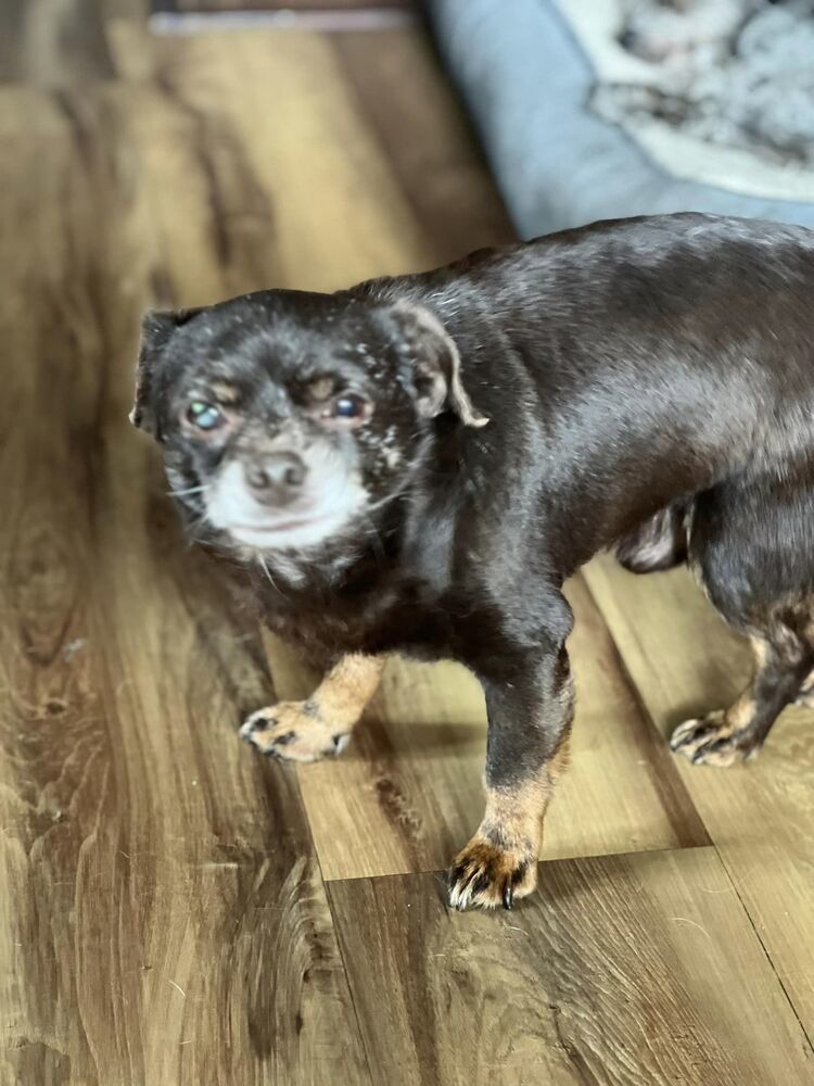 Tiny