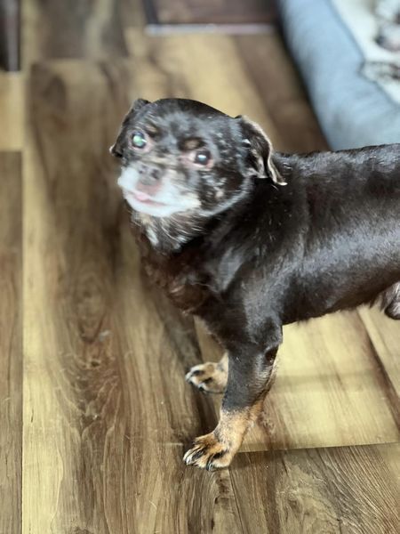 Tiny