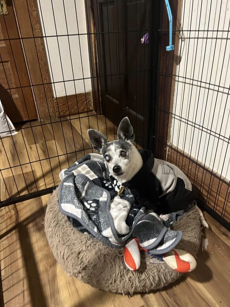 Chloe