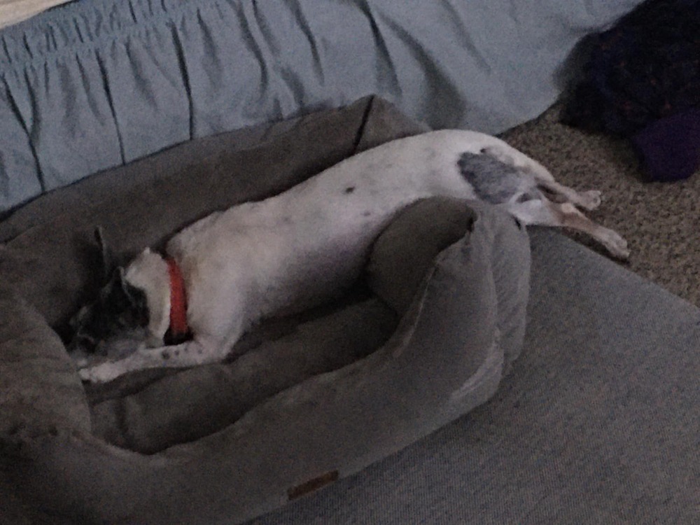 Chloe