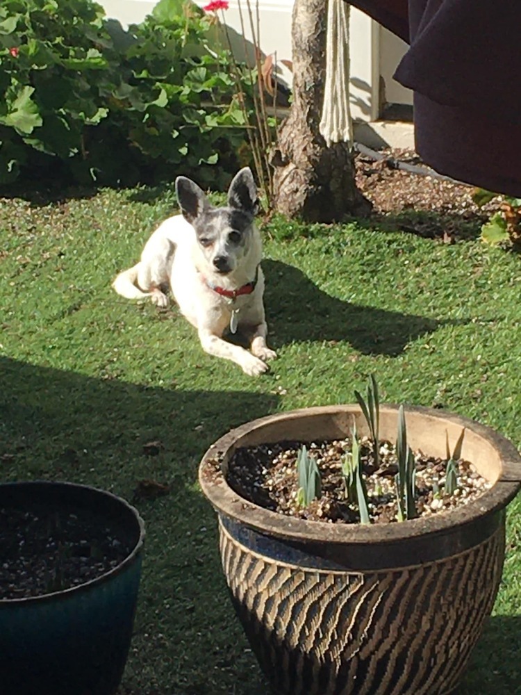 Chloe