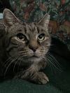 Penelope photo 2