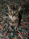 Penelope photo 4