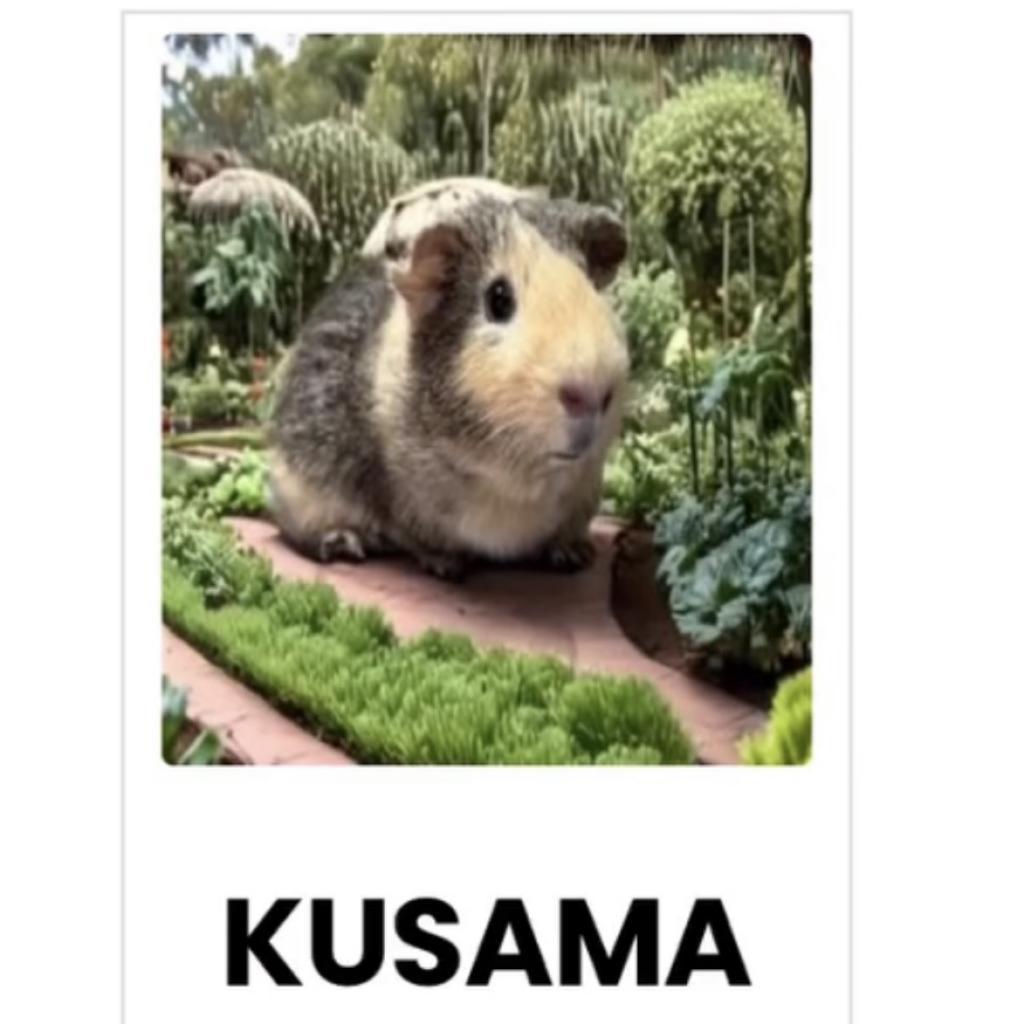 Kusama
