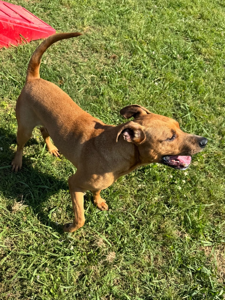 Dudley