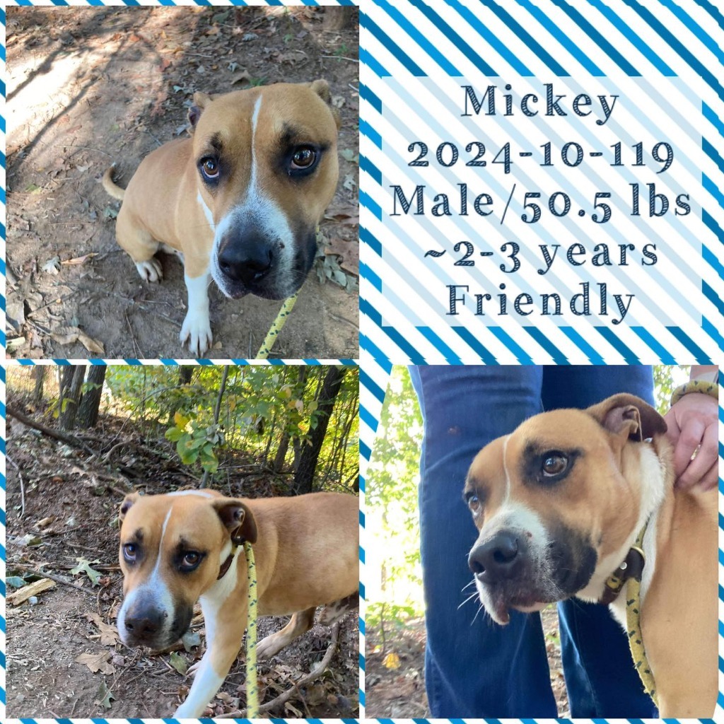 2024-10-119 *Mickey*