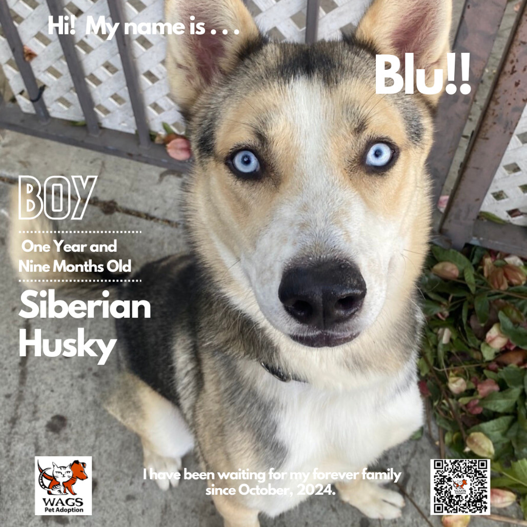 Blu
