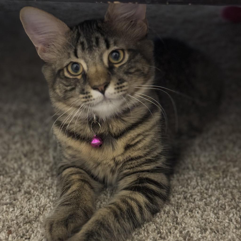 Vinny