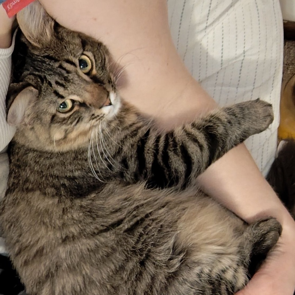 Vinny