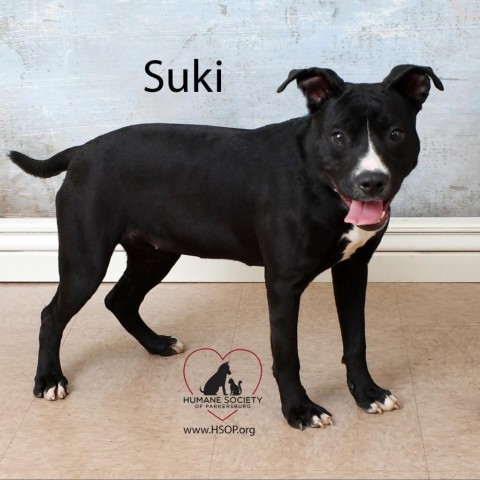 Suki