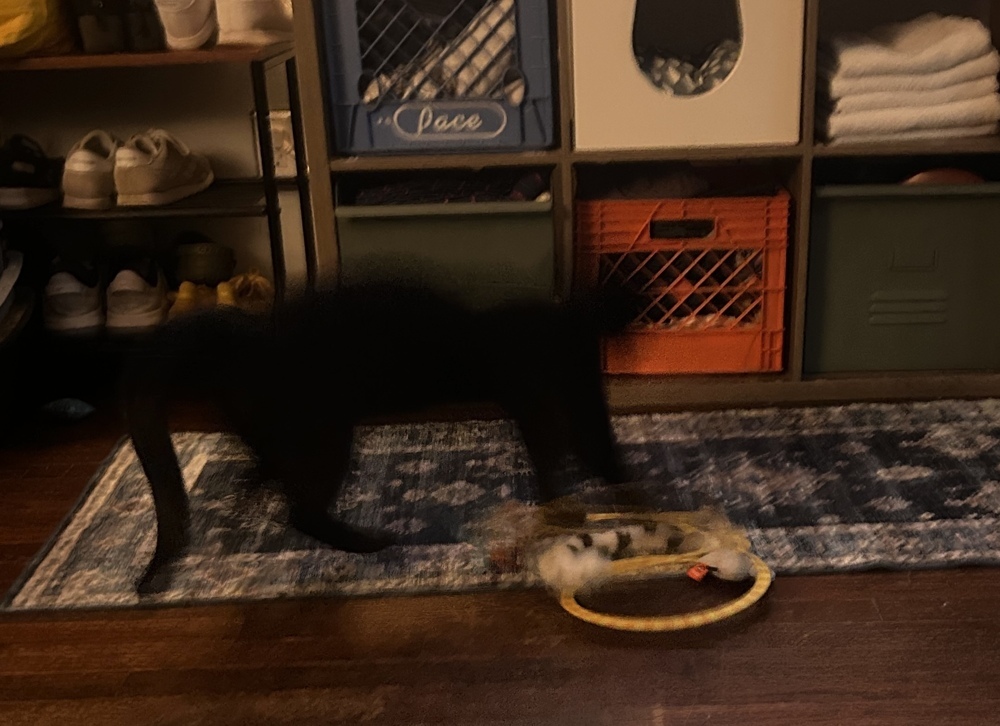 Rupert