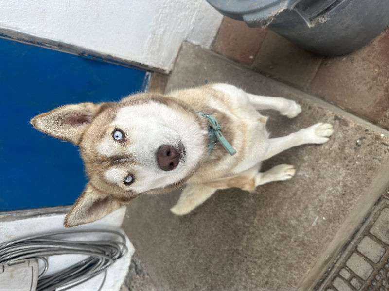 Luna