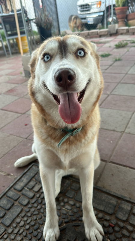 Luna