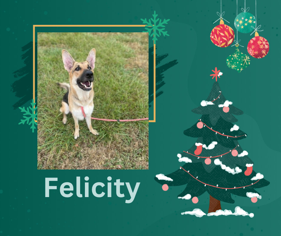 Felicity