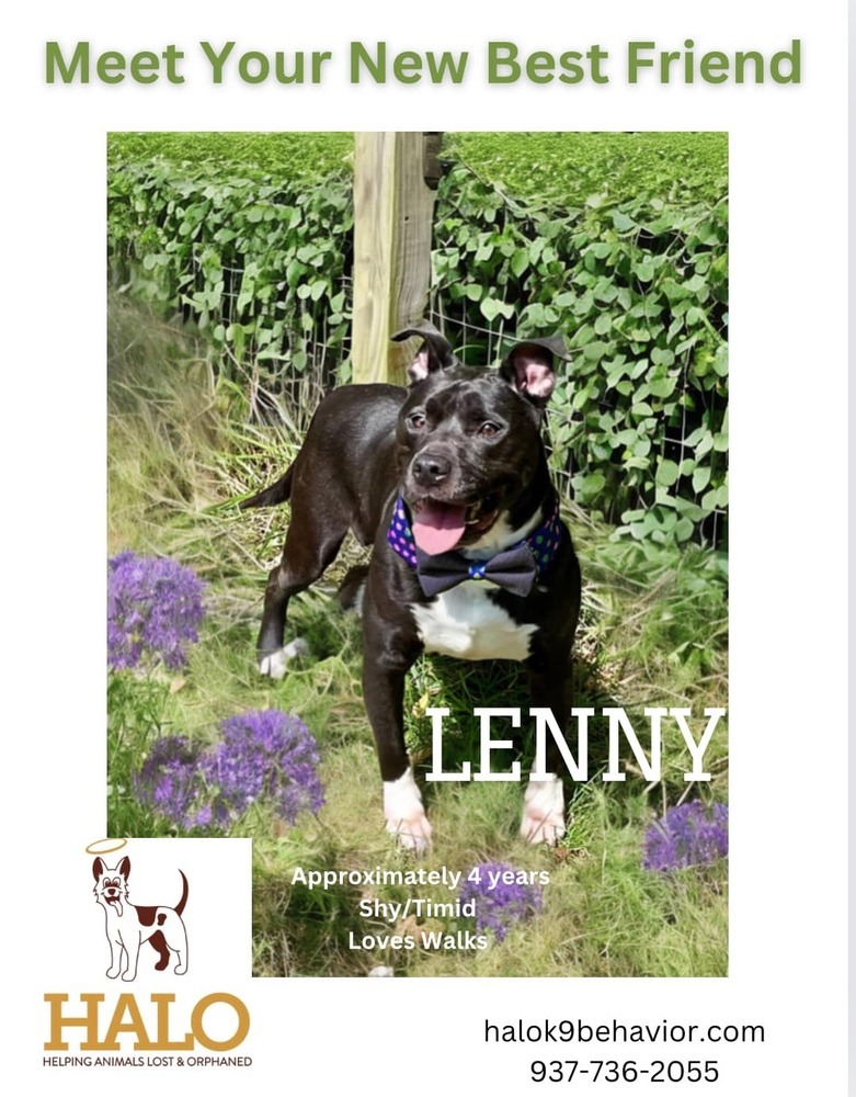 Lenny (Kravitz)