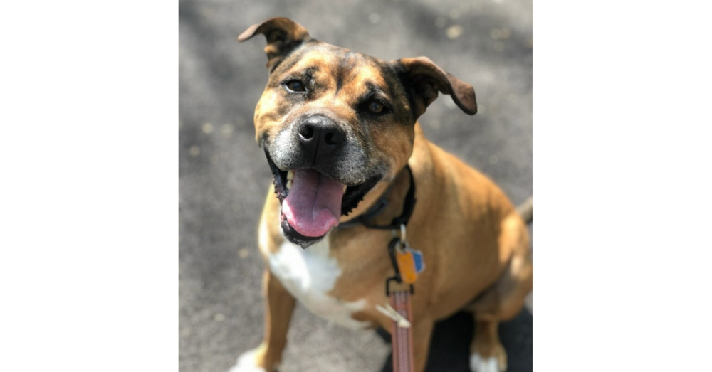Tyson