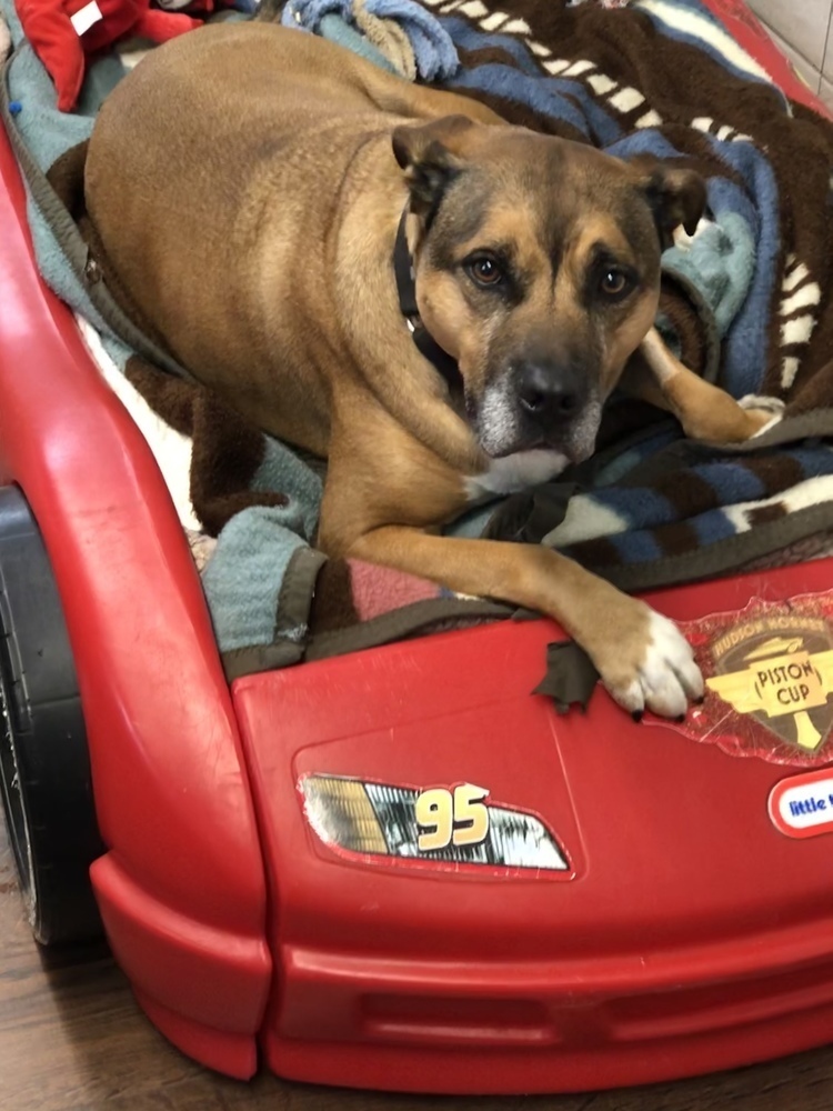 Tyson