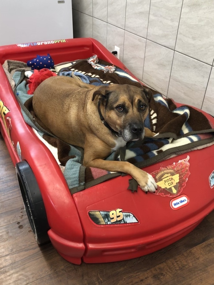 Tyson