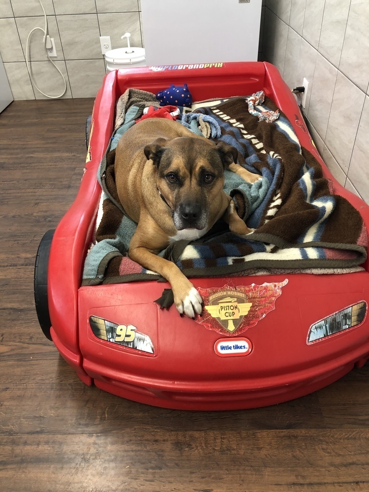 Tyson