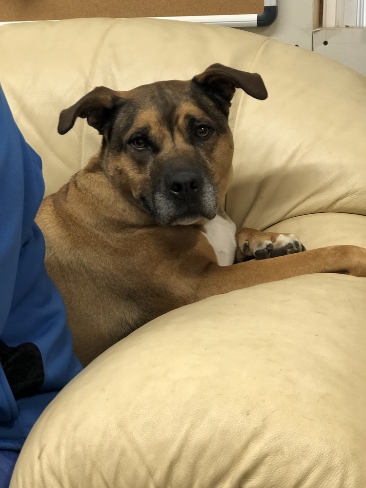Tyson