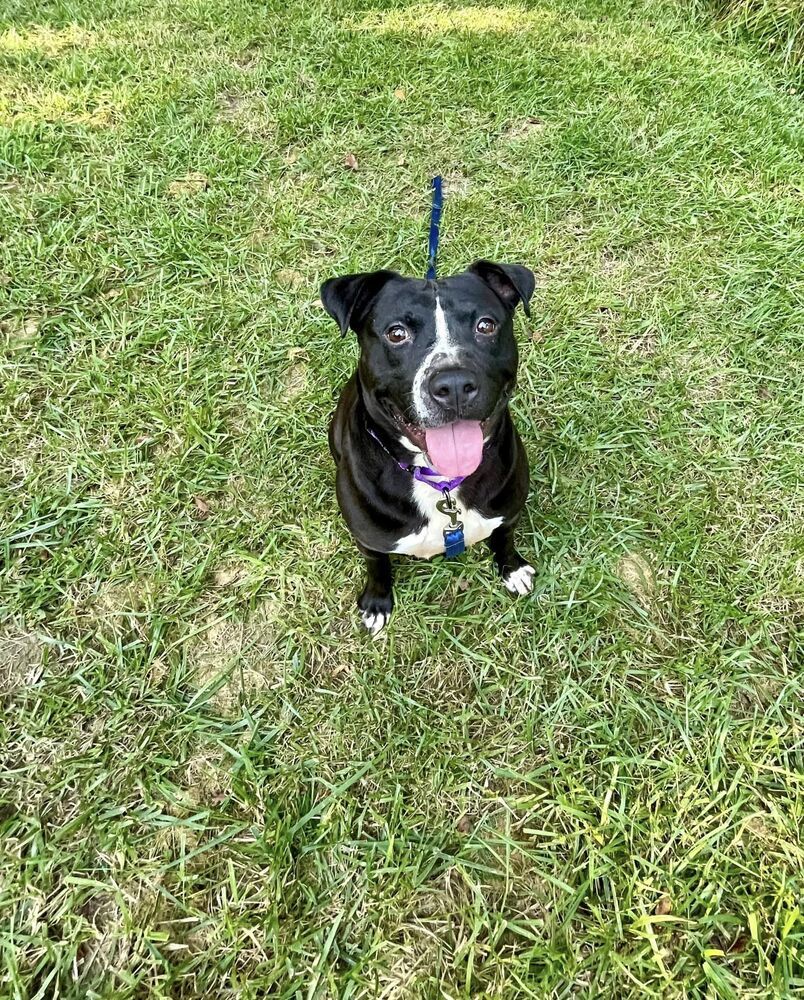 Zuko