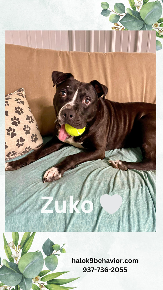 Zuko