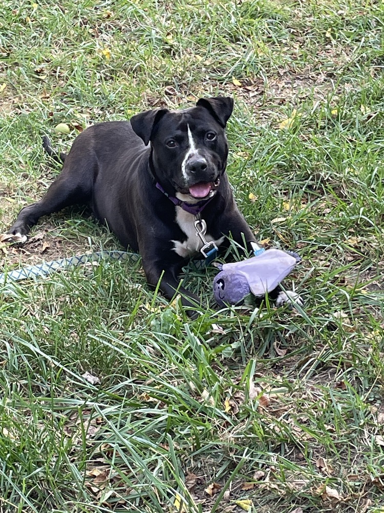 Zuko