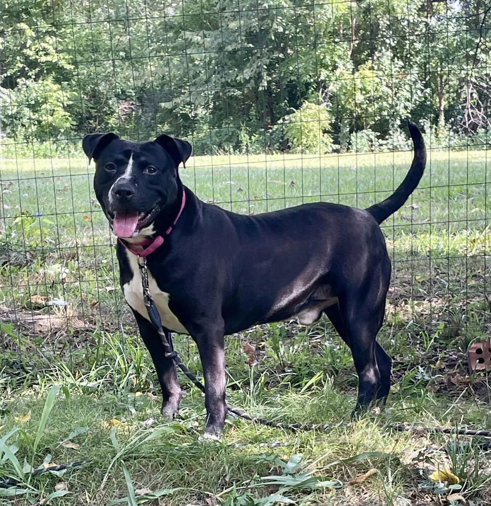 Zuko