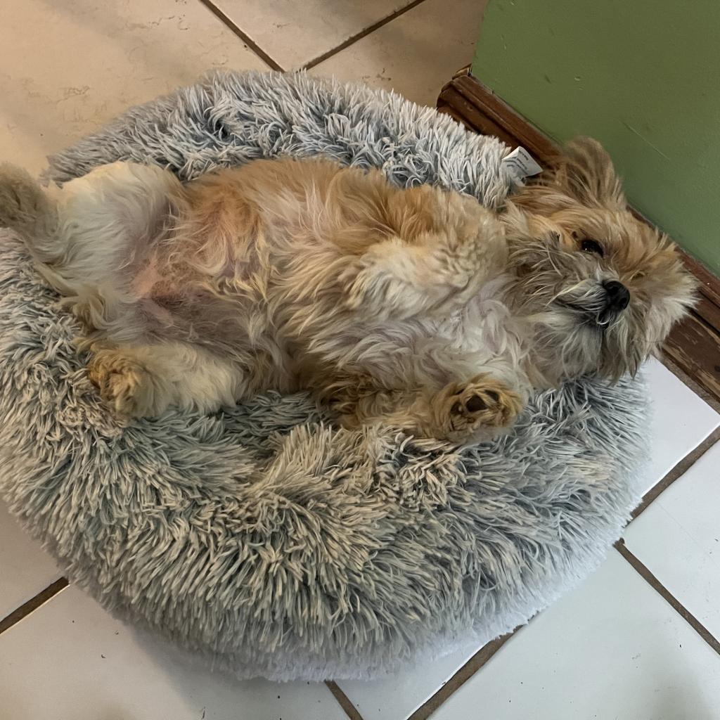 Oscar