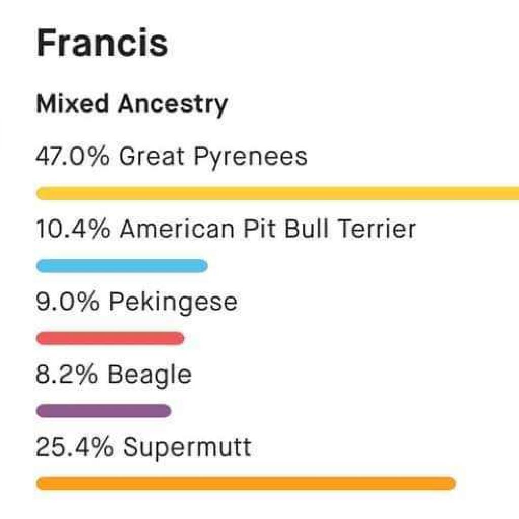 Francis