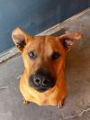 Sancho photo 3