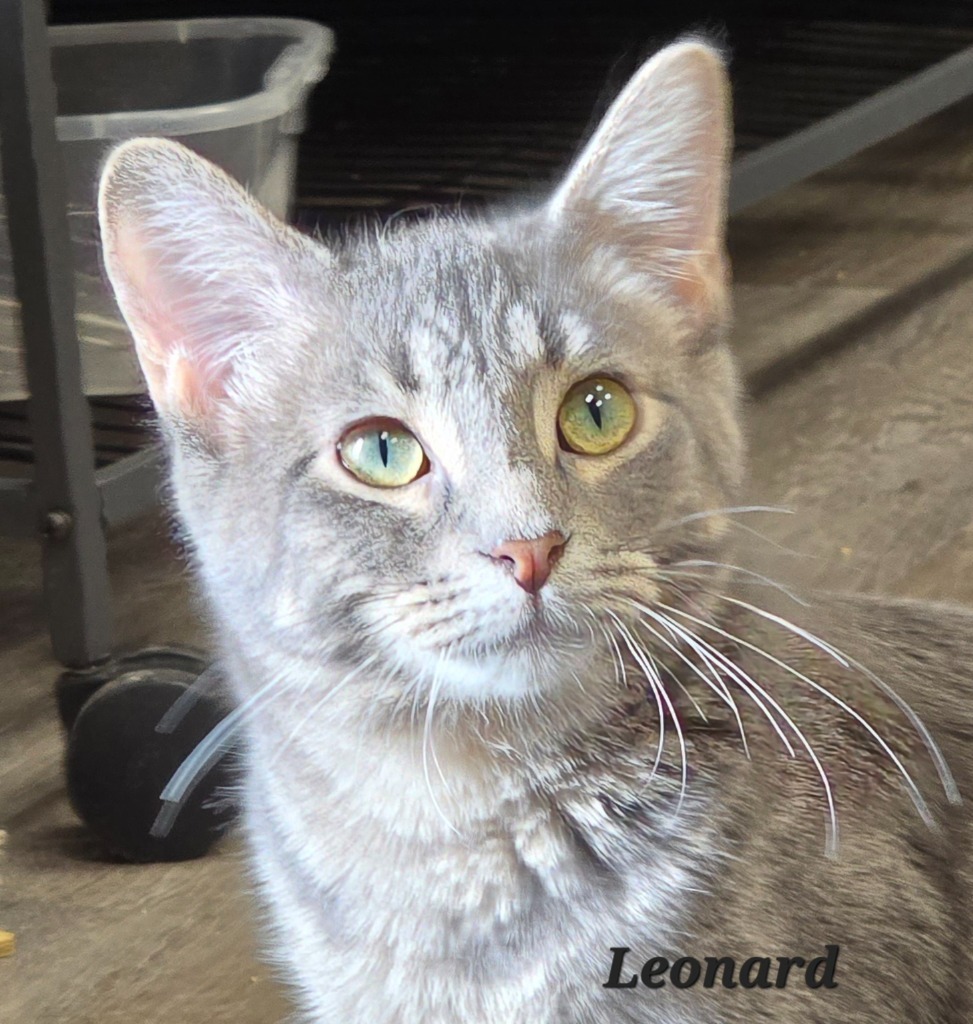 Leonard