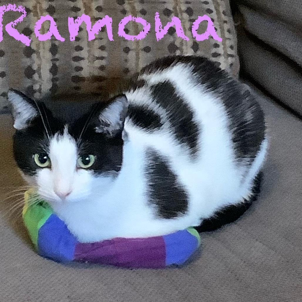 Ramona