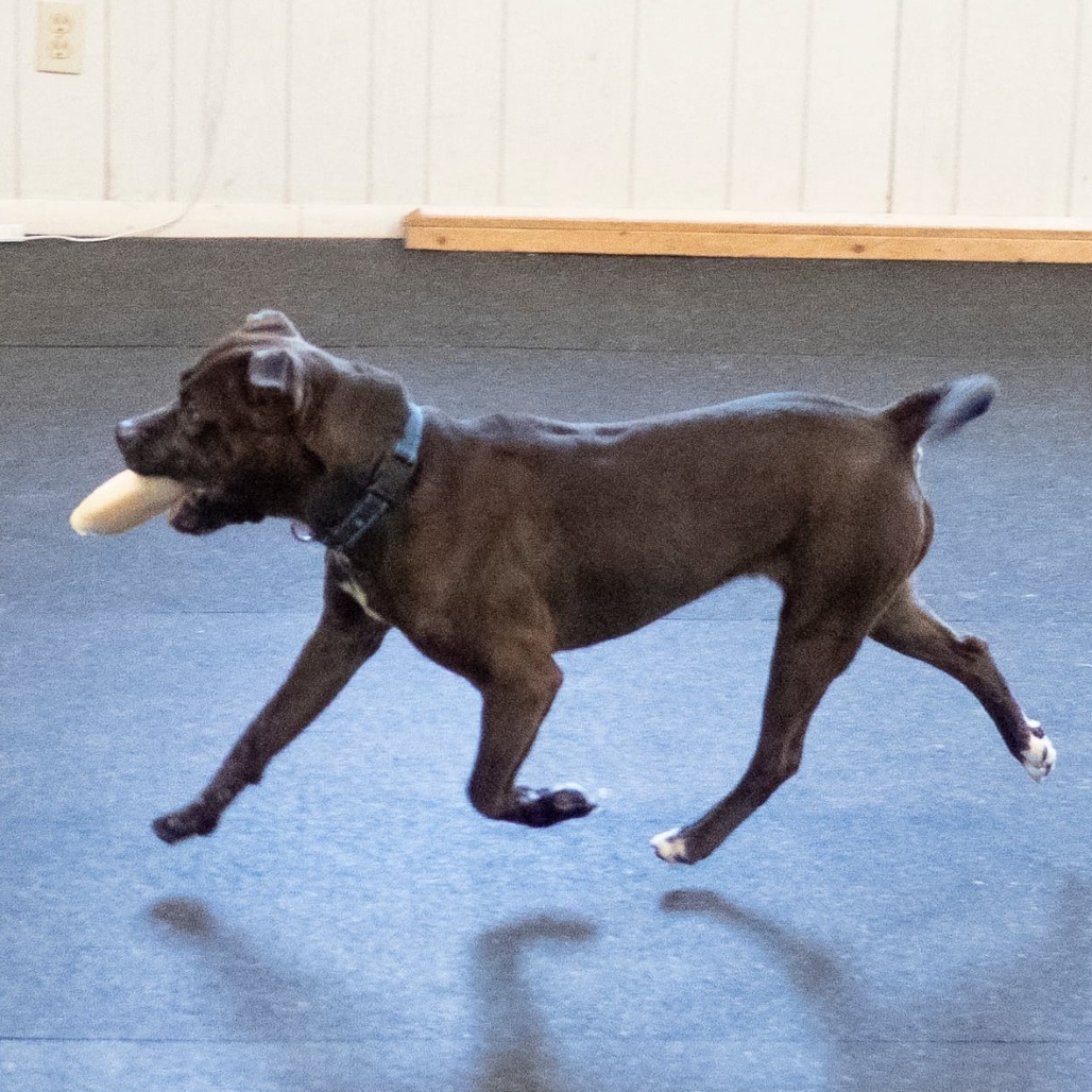 Juno