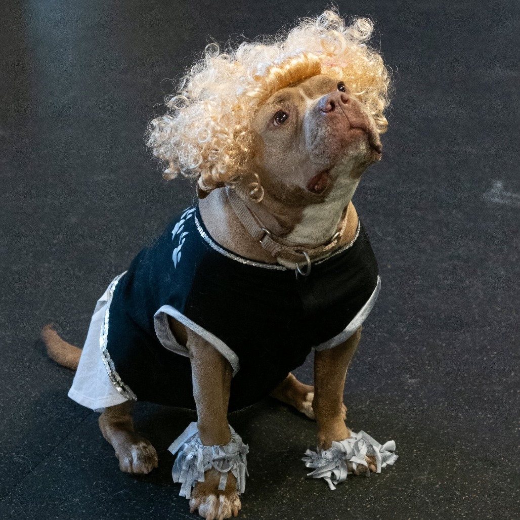 Nala Jean