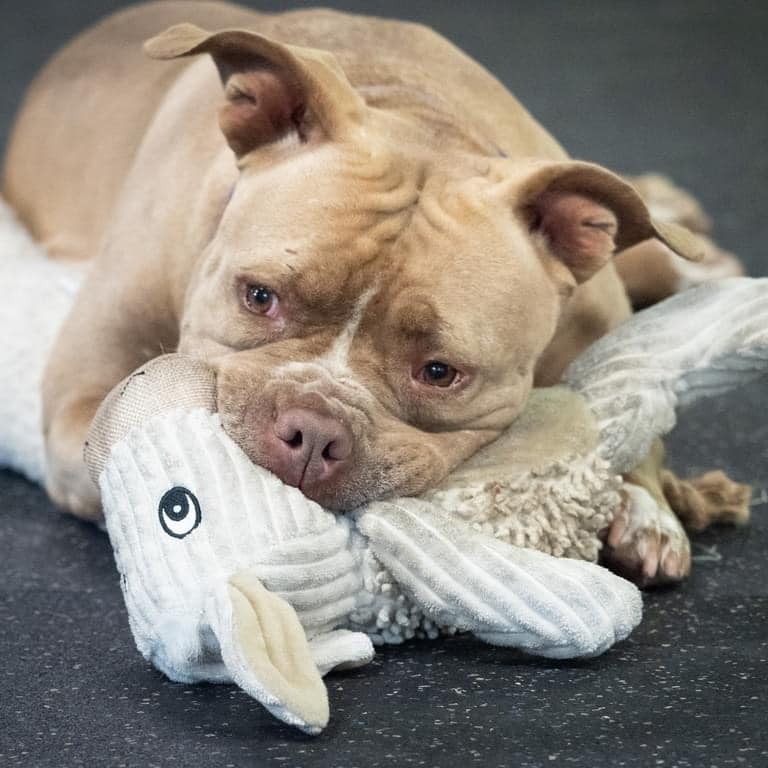Nala Jean