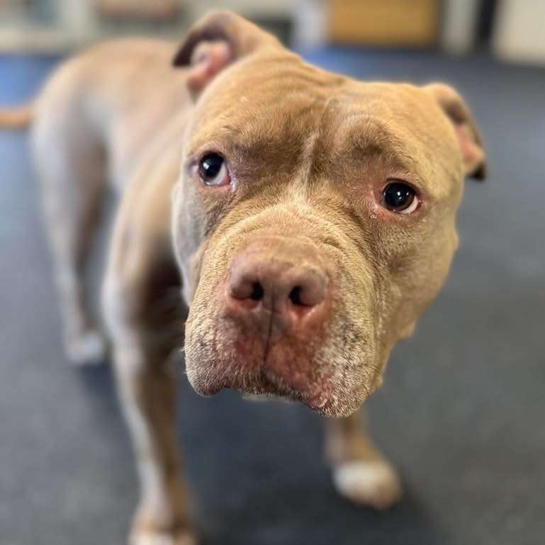 Nala Jean